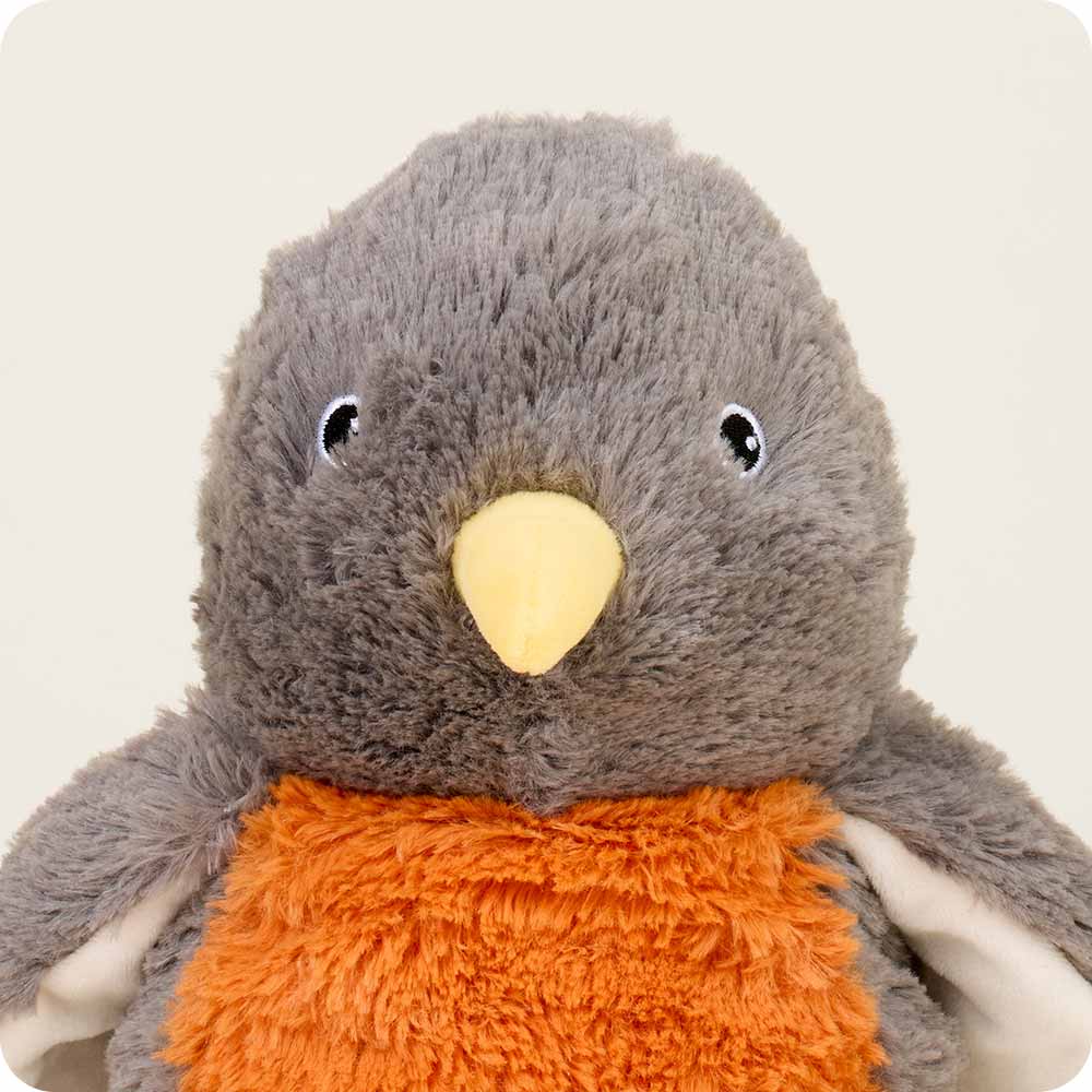 closeup of face of robin, embroidered eyes, yellow beak, shorter cream fur under wings