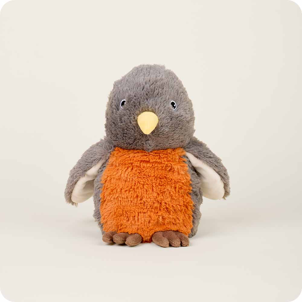 Robin with grey fur, orange belly, brown feet, cream under wing and yellow beak