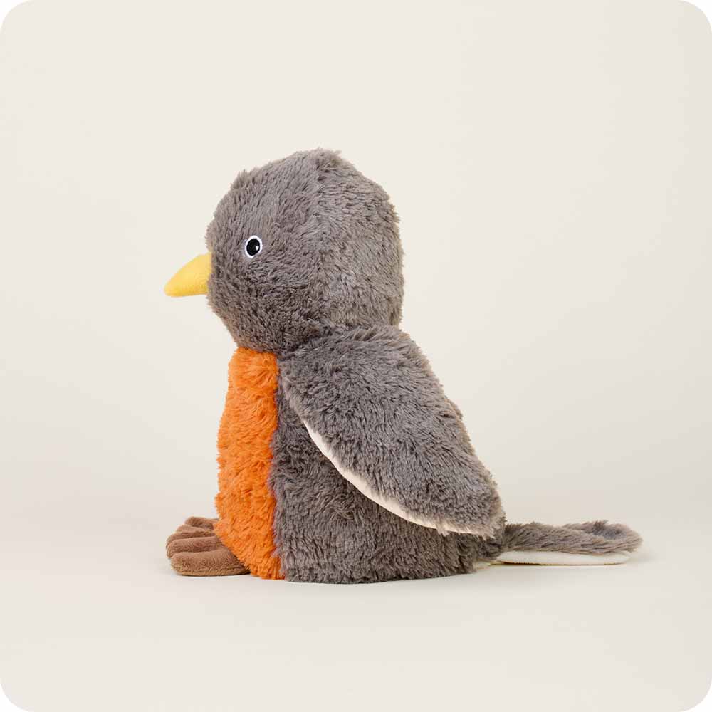 side view of robin shows long tail, brown feet
