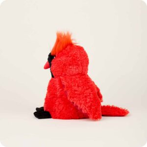 side view of cardinal shows black face and feet, red wings and tail