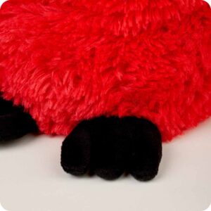 closeup of mid length red fur on body and short black fur on feet