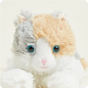 close up of face with longer fur on head, shorter cream fur on nose, plastic eyes with blue irises