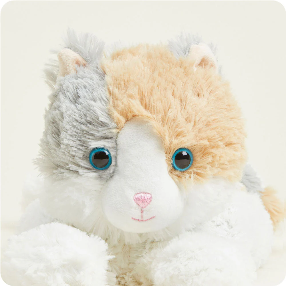 close up of face with longer fur on head, shorter cream fur on nose, plastic eyes with blue irises