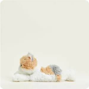 side view with grey and light orange patches on back of head and bottom