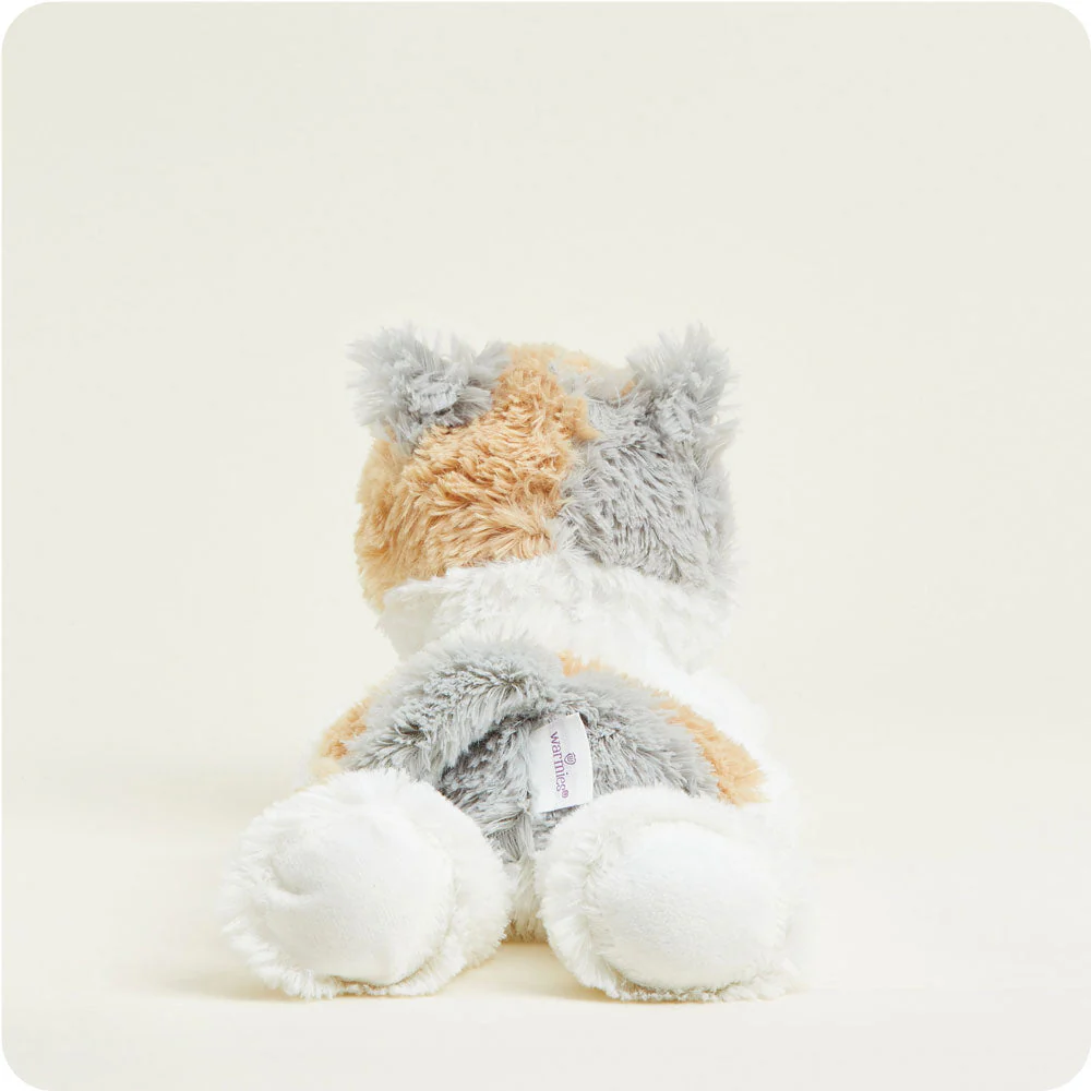 back view with grey and light orange patches on back of head and bottom