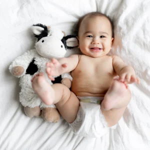 smiling baby in diaper with cow next to him, cow is mid eye level to bottom of torso