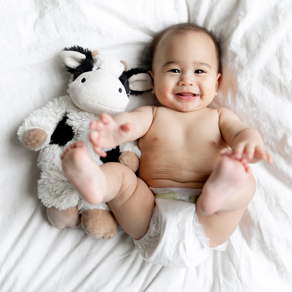 smiling baby in diaper with cow next to him, cow is mid eye level to bottom of torso
