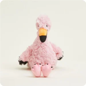 flamingo sitting, shows black tipped feet and beak