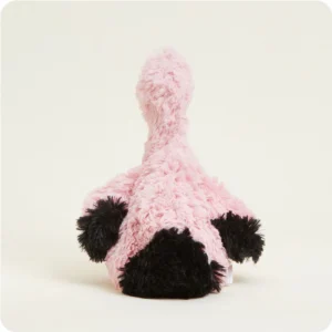 back of flamingo shows black tipped tail and wings