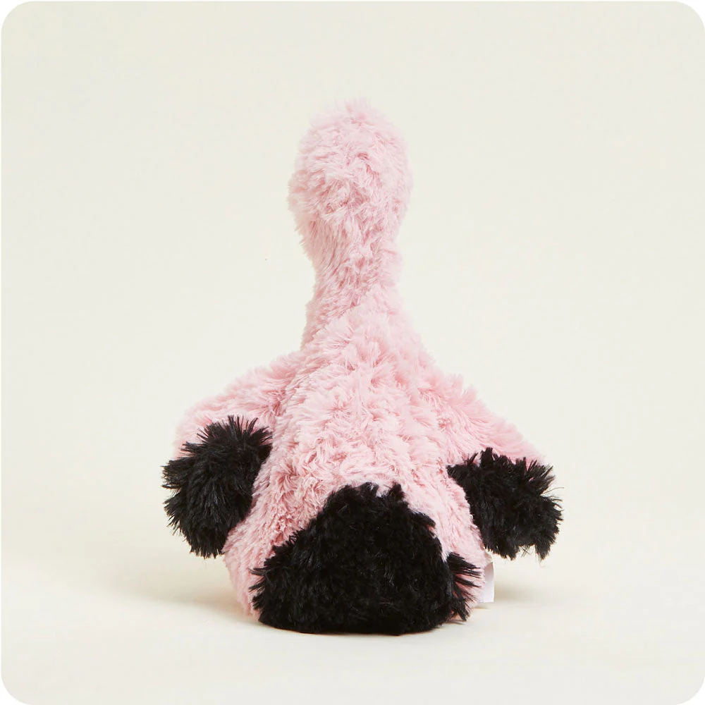 back of flamingo shows black tipped tail and wings