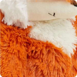 close up shows contrast of longer body fur in cream and orange and shorter cream fur on face