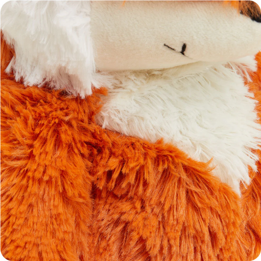 close up shows contrast of longer body fur in cream and orange and shorter cream fur on face