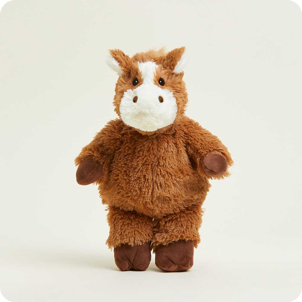 standing horse with shows mid length fur and shorter brown fur on hooves
