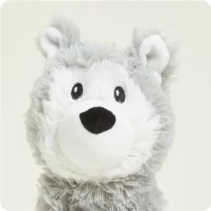 close up of husky face, large black nose, small grey ears