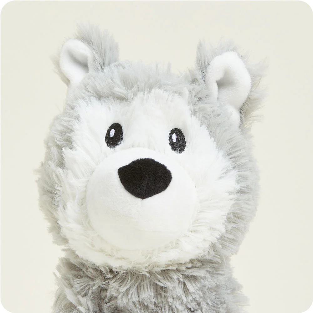 close up of husky face, large black nose, small grey ears