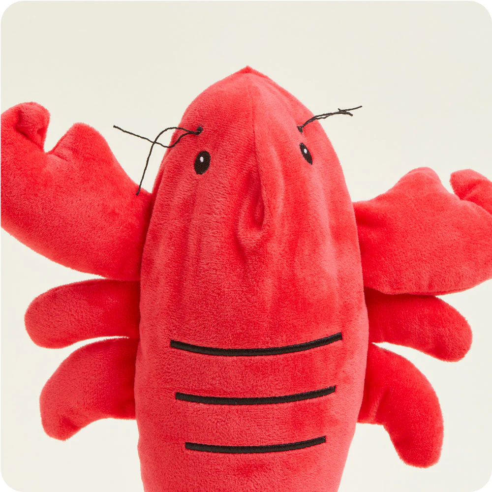close up of top view shows black thread antennae, black embroidered eyes, and black embroidered lines across back