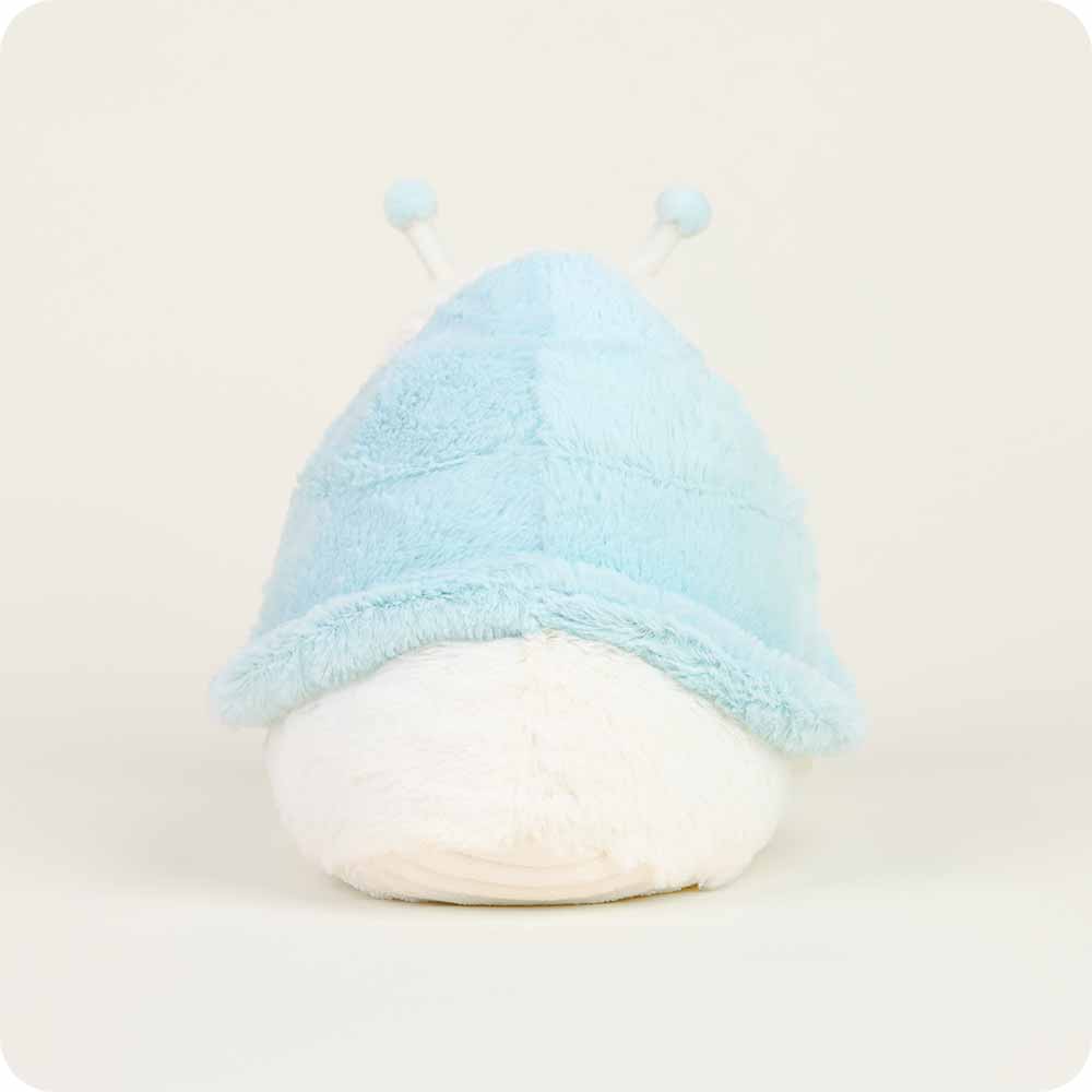 back view shows baby blue snail shell