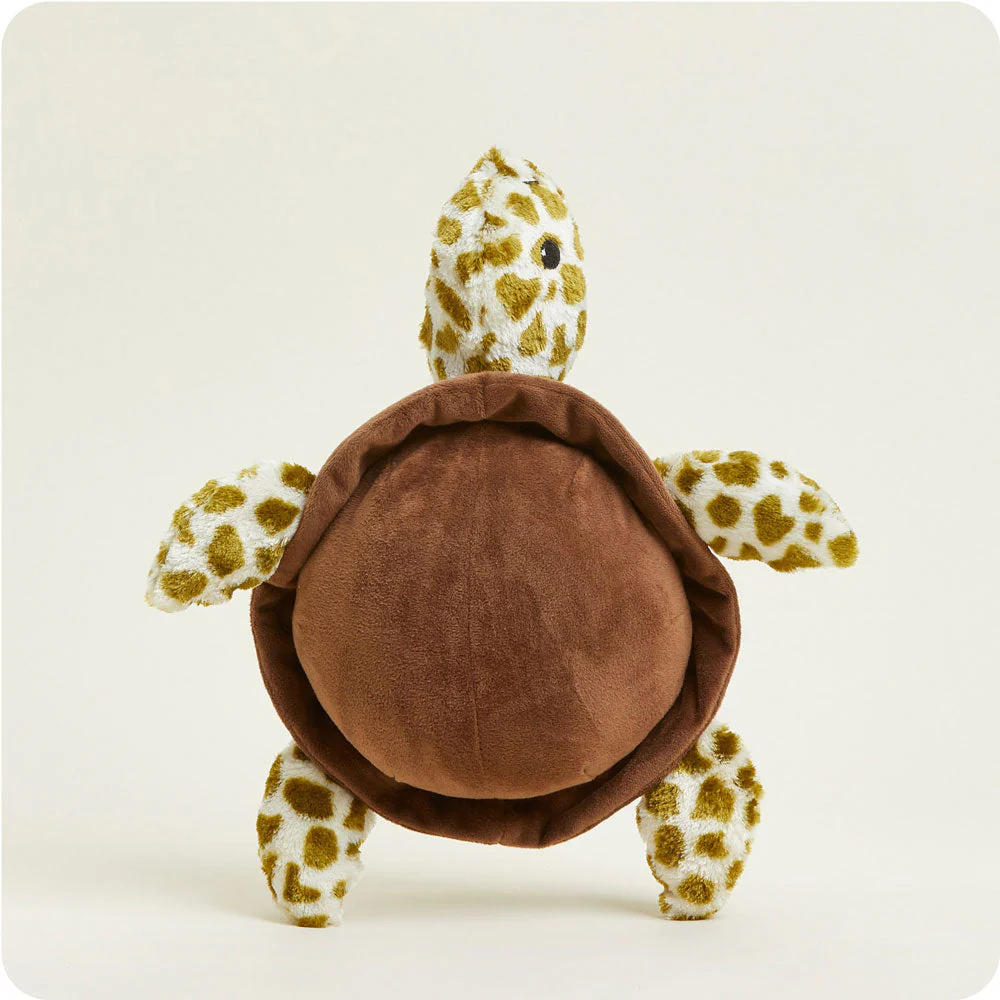 standing back view shows solid brown shell and spotted feet and head