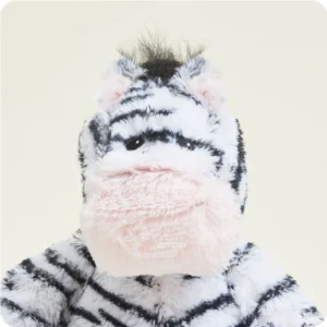 closeup of zebra face, tuft of black fur at top of head, big pink nose