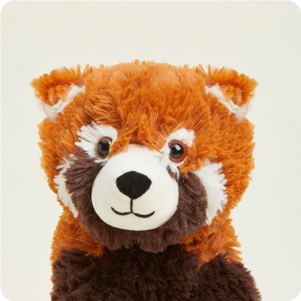 close up of red panda face, white patches around eyes, under ears, and on cheeks, brown patch around mouth, white muzzle and black nose