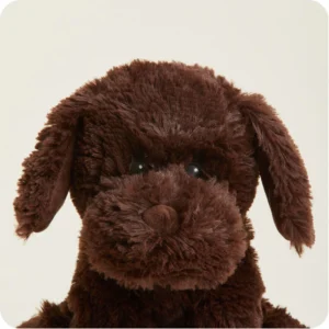 face close up shows mid length fur and brown nose