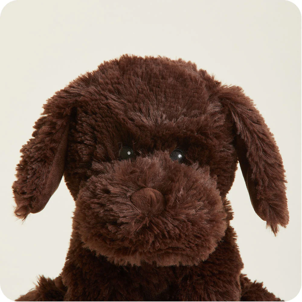 face close up shows mid length fur and brown nose