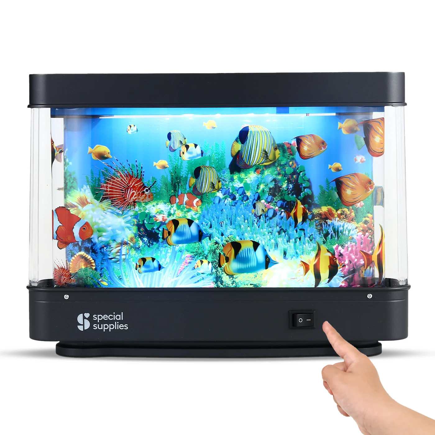 fish tank shaped photo of aquarium with a film of printed fish that rotate around the tank