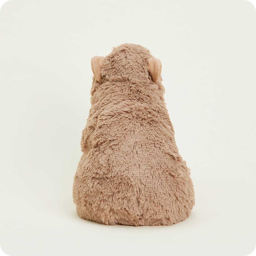 back view of capybara