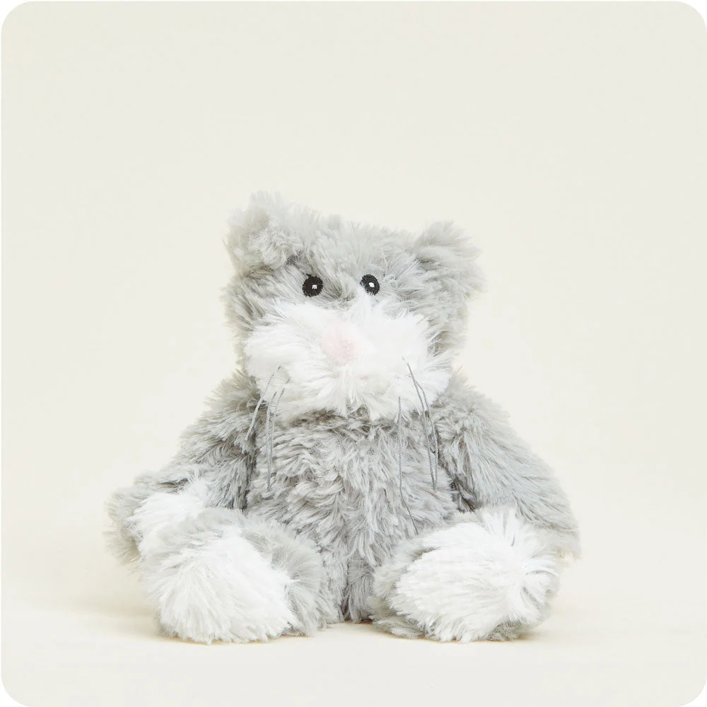 grey cat with mid length hair, white mouth and paws and pink nose
