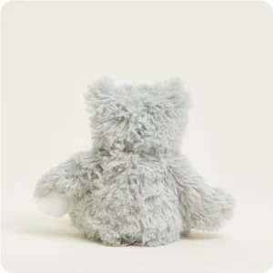 back of cat, no tail