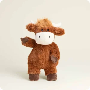 reddish brown cow standing, has white nose and horns, darker brown hooves and longer light brown hair at top of head