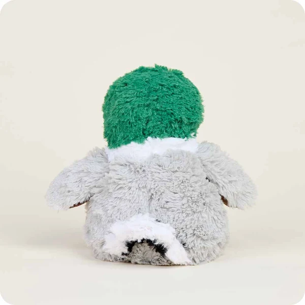 back of duck with green head, light grey back and wings, and black and white tail