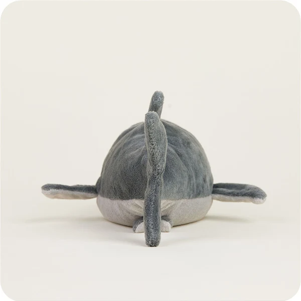 back of shark shows fins at sides, tail and top of body