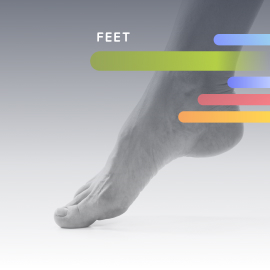 black and white photo of a foot with multicolored lines on top