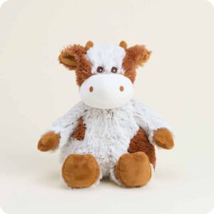 cream colored cow with reddish brown spots and trim