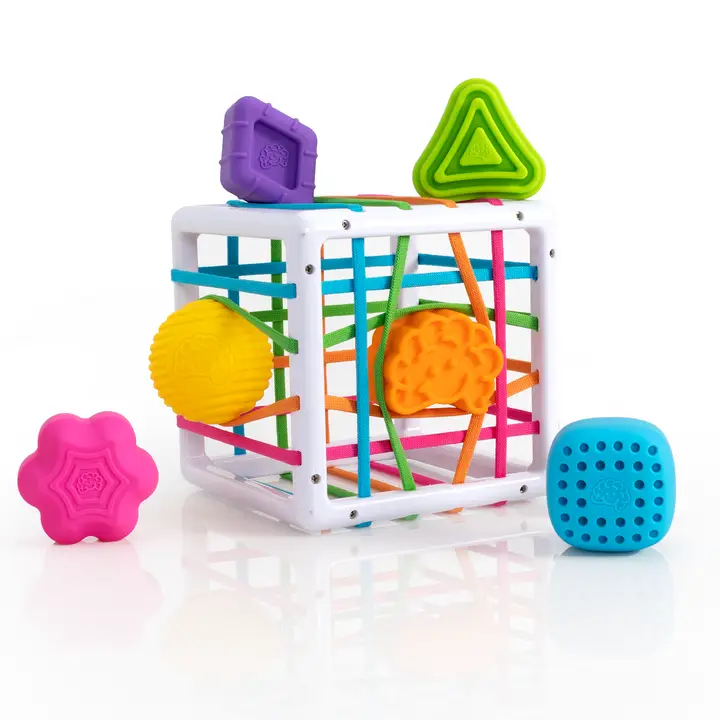 White cube with elastic band sides shown with a cube, a diamond, a sphere, a triangle, a flower, and a brain.
